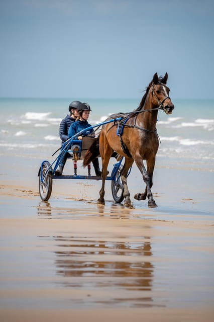 Omaha Beach: Sulky Baptism on the Beach - Rhythmic Trotting and Unforgettable Speed
