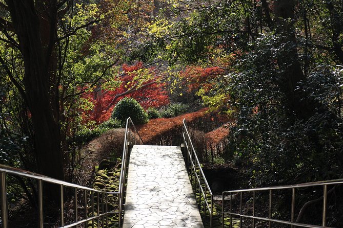 One Day Hike, Thrilling Mt. Nokogiri & Giant Buddha - Practical Details: Inclusions and Meeting Points