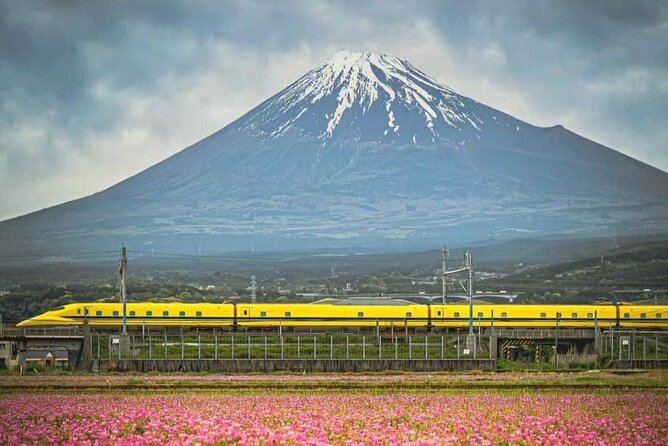 One Day Mountain Fuji & Hakone Tour With English Hindi Bilingual - Additional Information
