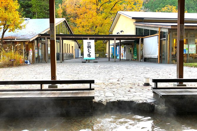 One Day Tour of Tokyos Plentiful Nature in Hinohara Village - What to Expect