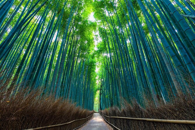 One Way Bus From Kanazawa to Kyoto - Scenic Journey Through Kanazawa and Kyoto