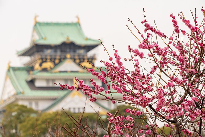 Osaka Castle & Back Alley Gourmet Private Tour - Booking and Cancellation Policy