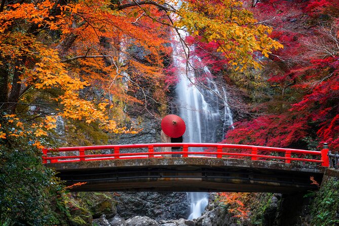 Osaka Private Customizable Half Day Tour - About Japan Awaits Tour Operator