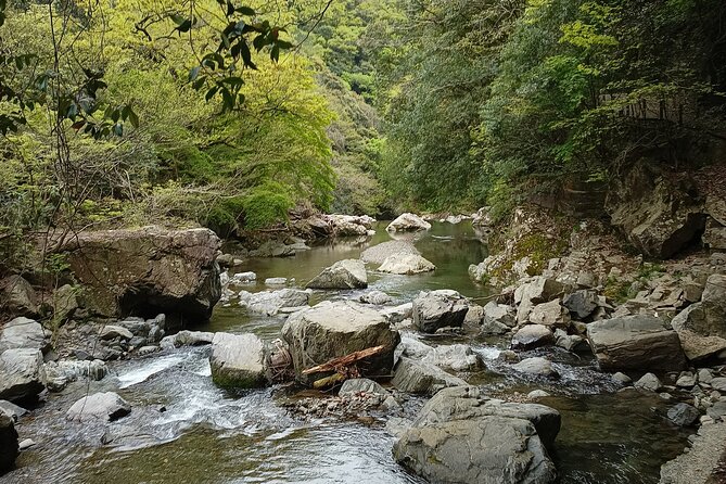 Osaka River Rapids Hike and Natural Hot Spring Tour - Exploring the Natural Hot Spring