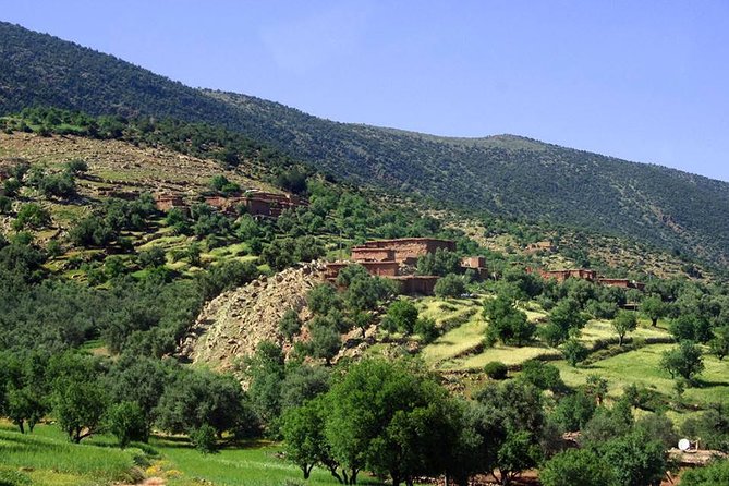 Ouzoud Waterfalls Day Trip From Marrakech - What to Expect