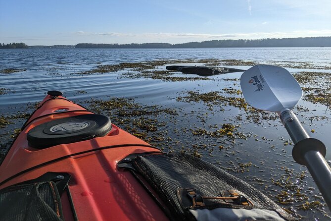 Oyster Tasting and Kayak Tour - Understanding the Health and Safety Considerations