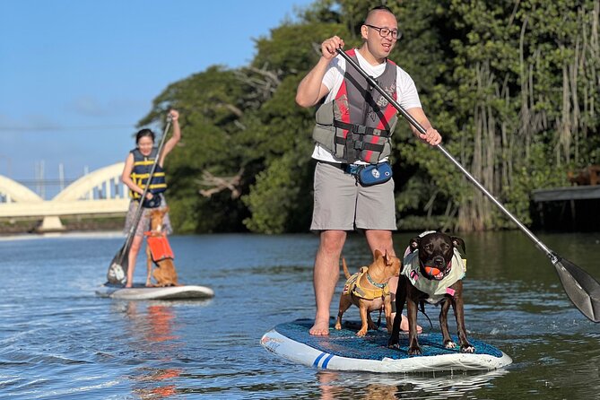 Paddle Board Haleiwa With Rescue Dogs - Exploring the Reviews and Feedback
