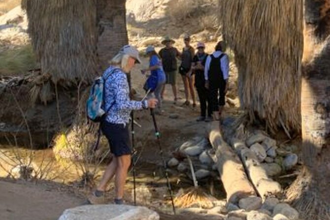 Palm Springs Desert Oasis Hike in Indian Canyons - Group Size and Participation Requirements