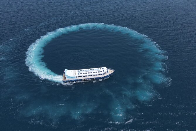 Panorama Semi-Submarine Snorkeling Sea Trip - Hurghada - Guest Feedback