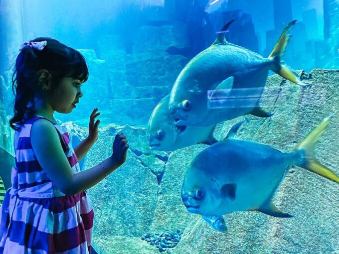 Paris: Aquarium De Paris Entrance Ticket - Customer Reviews and Ratings