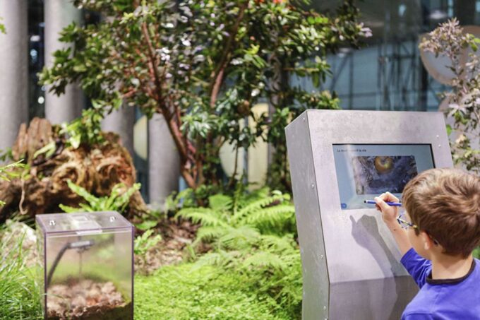 Paris: City of Science and Industry Museum Entry Ticket - Museum Hours and Closure Dates