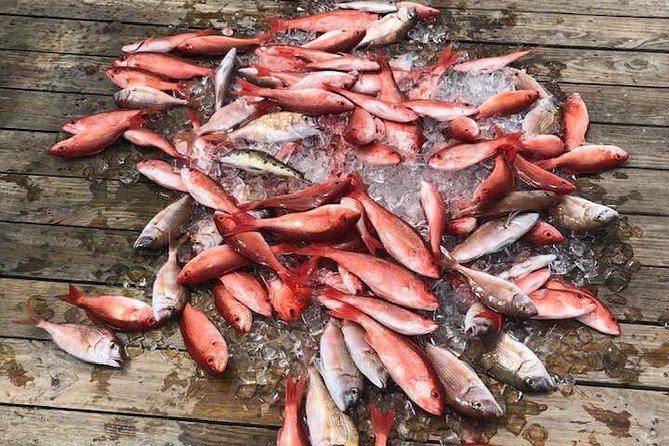 Party/Walk-On Fishing Trip - Boat Accommodations