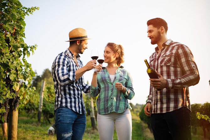 Paso Robles Wine Adventure With Pickup From Atascadero, CA - Tips for Your Journey