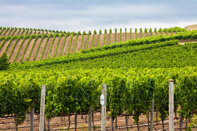 Paso Robles Wine Adventure With Pickup From San Simeon, CA - Booking and Cancellation Policies