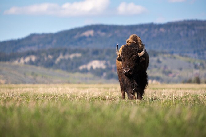 Photography Workshop in Grand Teton National Park - Capturing the Teton Landscape
