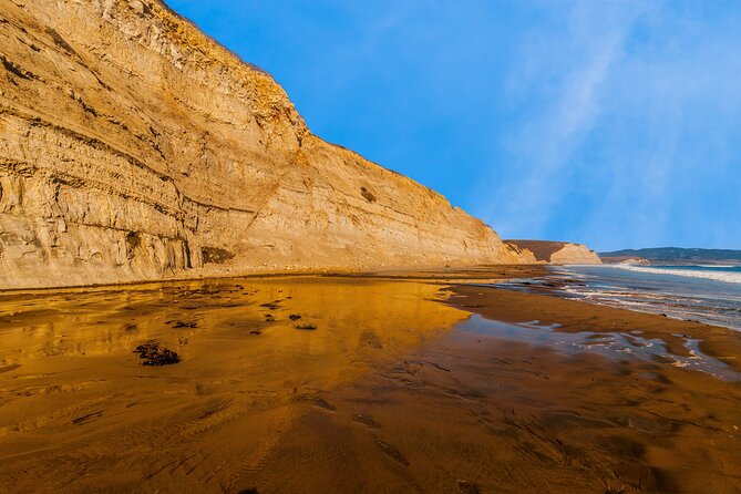 Point Reyes National Seashore Tour Review - Who Should Take This Tour?