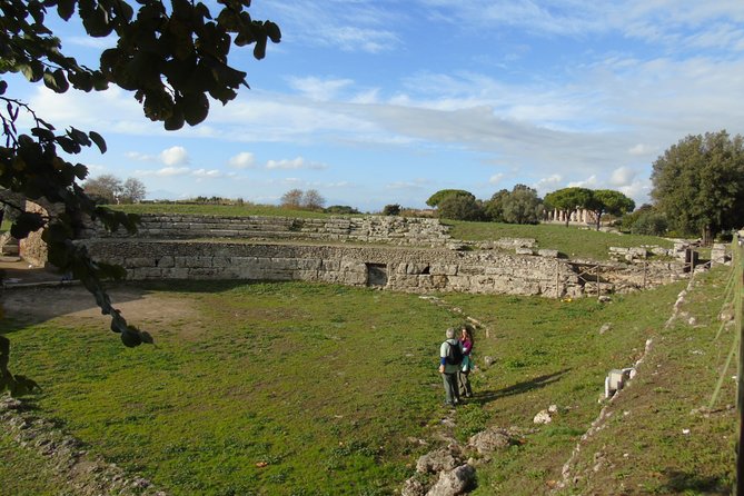 Pompeii and Paestum Fullday From Naples or Sorrento or Positano or Amalfi - Highlights of the Itinerary