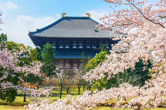 Popular Highlights of Nara Region Day Tour Departure From Osaka - Customer Feedback and Issues