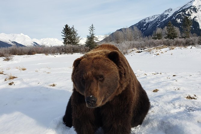 Port Homer Day Tour - Wilderness, Wildlife and Beach Experience - Meeting and Pickup Details