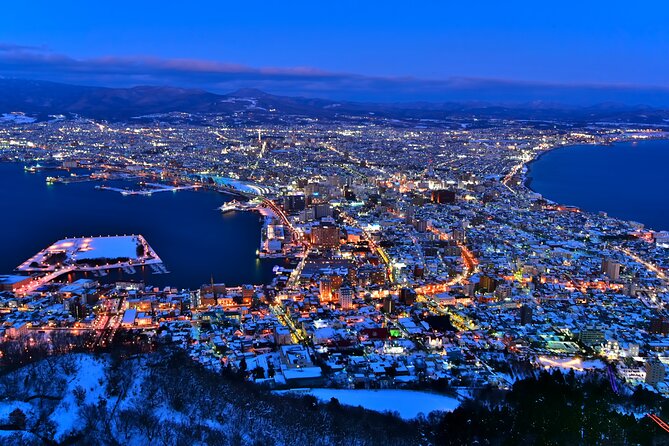Port Pick-Up: Hakodate Tour With Licensed Guide and Vehicle - Customizable Itinerary