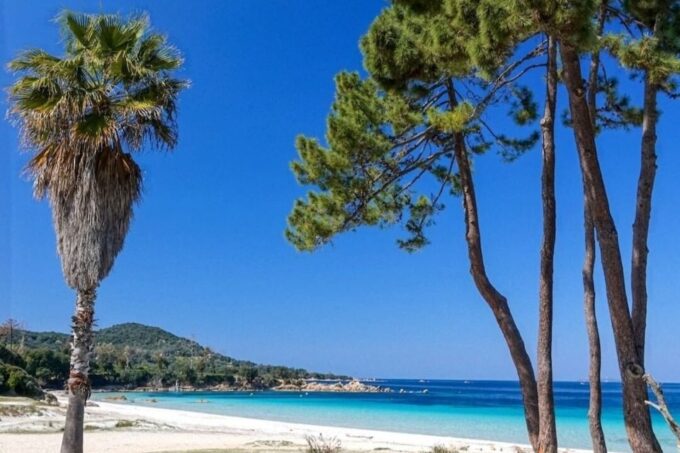 Porticcio: Coastal Train Ticket With Audio Guide & Tastings - Wine and Appetizers