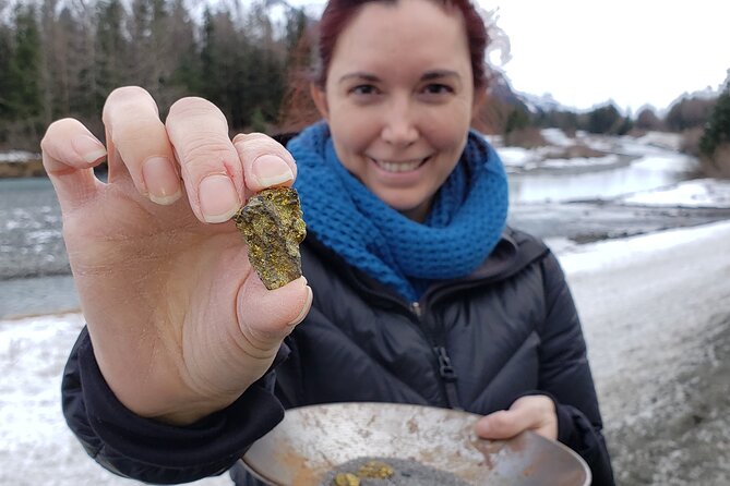 Premiere City Tour of Anchorage-Mountain Views & Native Culture - Unique Wildlife Encounters