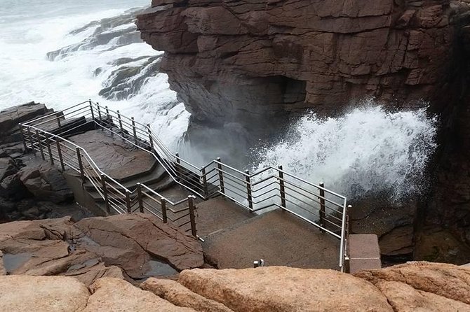 Premium Narrated Bus Tour of Bar Harbor and Acadia National Park (3.5 Hours) - Traveler Reviews and Ratings