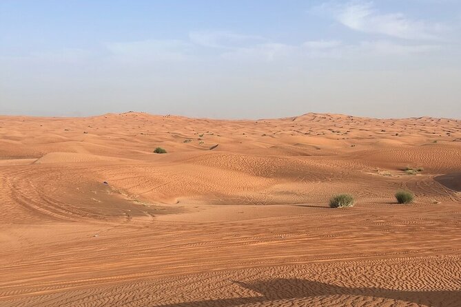 Premium Red Dunes Desert Safari Dubai With Quad Bike Option - Customer Reviews and Feedback