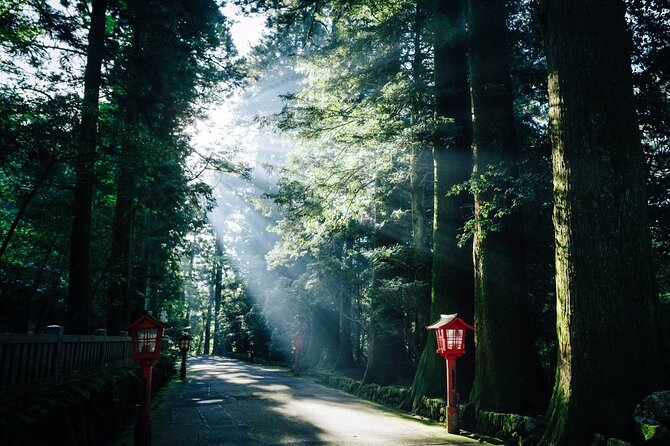 Private 1 Day JDM/Sports Car Tour to Mt Fuji, Hakone, and Onsen - Exploring Mt. Fuji and Hakone