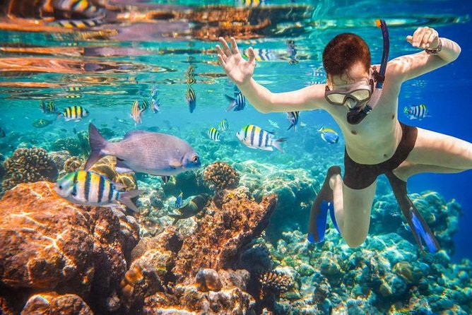 Private 3-Hour Snorkeling Tour With Arch Tour and Beach Time - Customization Options