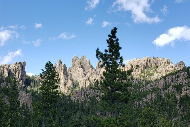 Private 5 Hour Black Hills Tour With Local Experts - Secure Your Booking