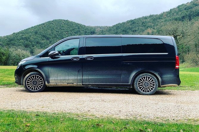 Private Airport Transfer Mercedes V 250 for 6 Passengers - Accessibility Features
