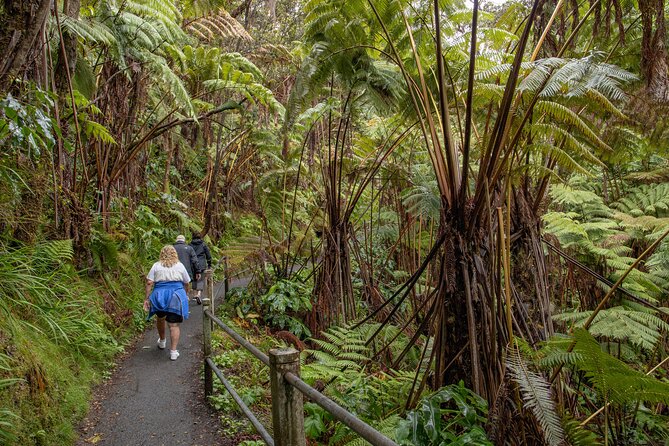 Private - All Inclusive Hawaii Volcanoes National Park Tour - Reviews