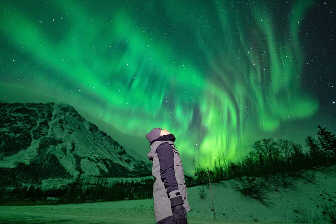 Private Aurora Viewing Experience in Fairbanks - Cancellation and Booking Policies