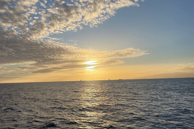 Private Boat Cruise of Waikiki! Snorkel, Sightseeing, Sea Life! - Booking and Cancellation Policies