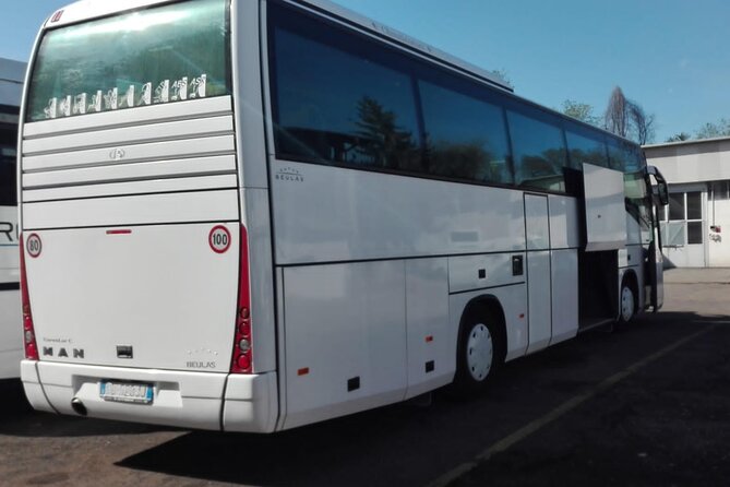 Private Bus Civitavecchia Cruise Port to Rome Hotels - Why Choose Taxigo Limo?