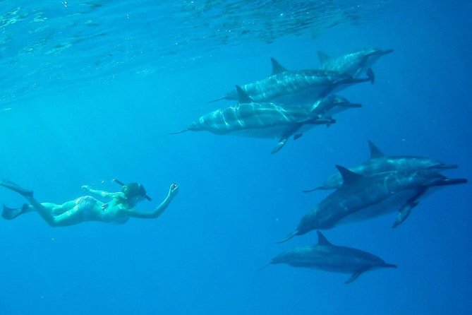 Private Charter: Customizable Big Island Boat Adventure - Pricing and Value of the Private Charter