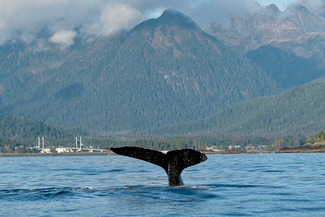 Private Charter Scenic Sea Bird Excursion Review - Highlights and Impressions
