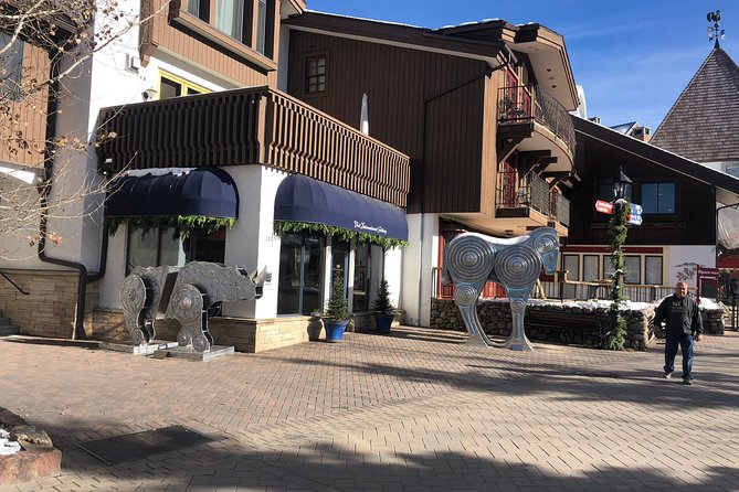 Private Custom Tour of the Foothills of Denver, Dillon and Breckenridge. - Customization Options