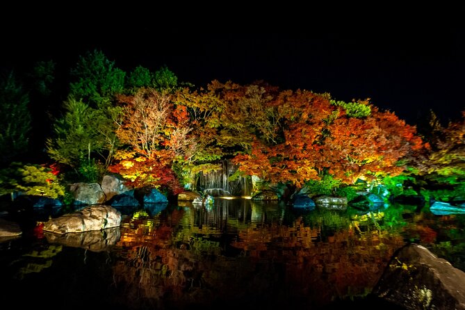 Private Customize Tour Himeji From Osaka - Itinerary Options
