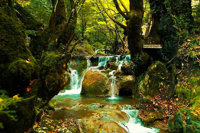 Private Day Tour From Athens to Pavliani Forest Park Trek - The Sum Up