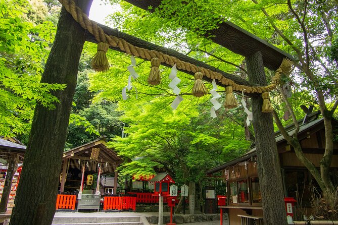 Private Day Tour - Kyoto Arashiyama & Bamboo Forest Perfect Tour! - Customer Feedback and Ratings
