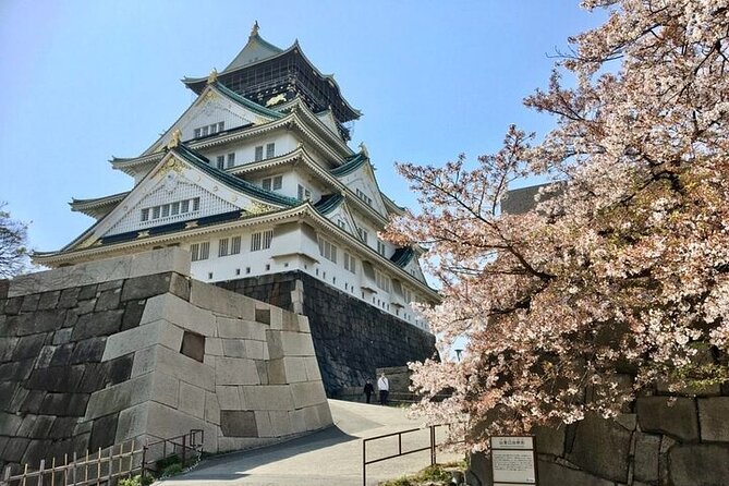 Private Day Tour of Osaka Castle - Booking and Reservation Process