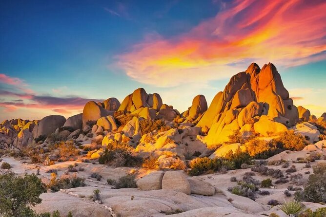 Private Day Tour to Joshua Tree National Park From San Diego - Highlights of the Day