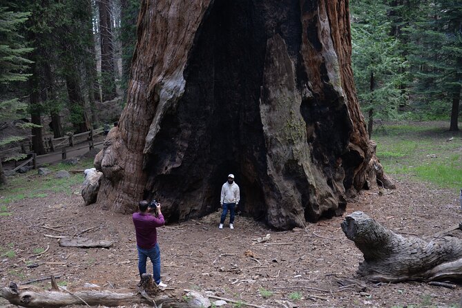 Private Day Tour to Sequoia and Kings Canyon Parks From LA - Accessibility and Cancellation Policy
