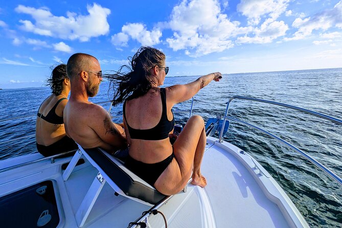 Private Dolphin Playground Safari - Snorkeling and Wildlife Encounters