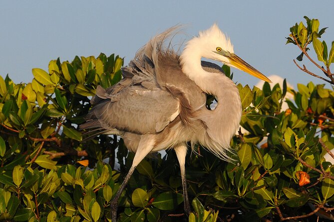 Private Everglades National Park Photography, Birding and Wildlife Safari - Getting to the Meeting Point