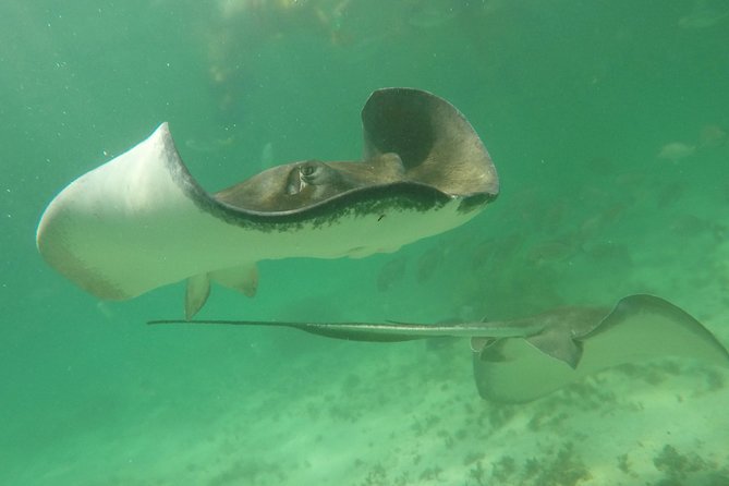 Private Fishing Tour in Yacht Playa Del Carmen - Fishing Experience Highlights