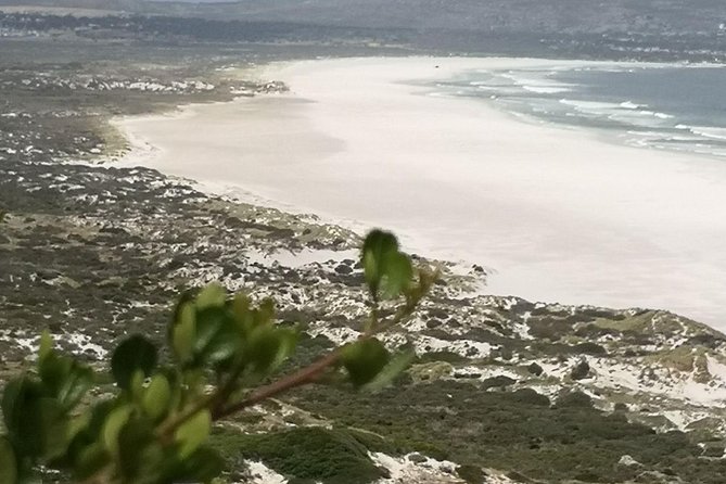 Private Full Day Cape Town City Scenic and Table Mountain Tour. - Accessibility Features