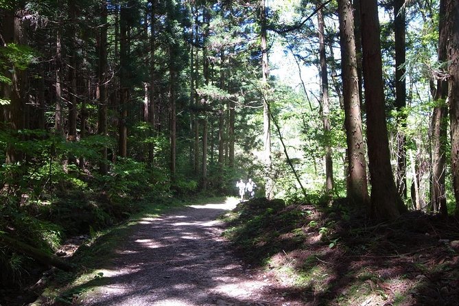 Private Full Day Magome &Tsumago Walking Tour From Nagoya - Highlights of the Walking Tour